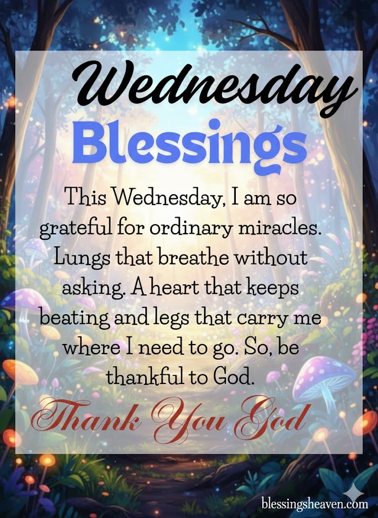 Positive and Thankful Wednesday 