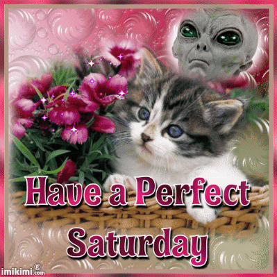 Positive Saturday Blessings