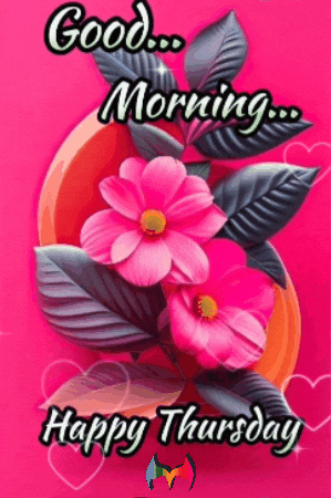 Happy Tuesday Morning