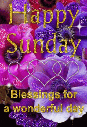 happy sunday gif