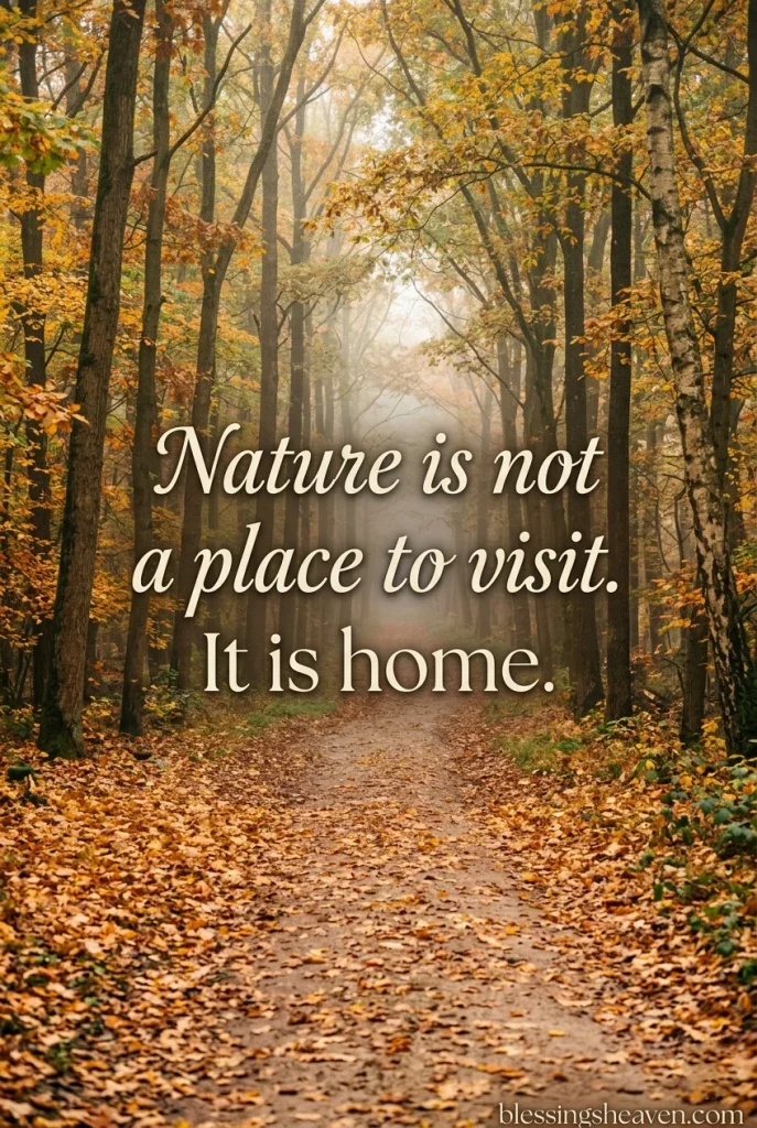 Healing Nature Quotes for Hard Days