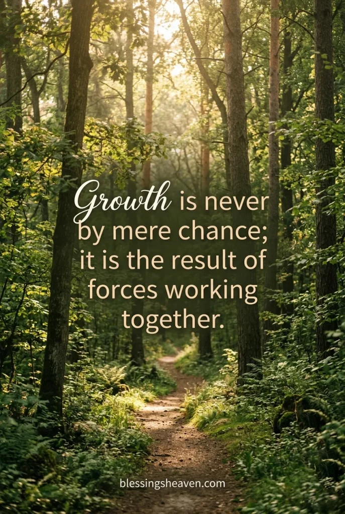 Personal Growth Quotes That Push You Forward