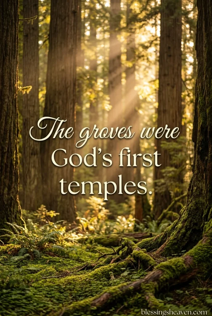 Short Forest & Trees Quotes for Deep Feelers