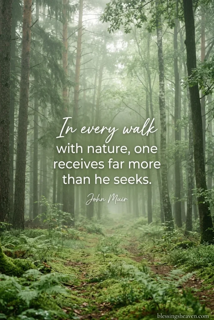 Short Nature Quotes for Peace & Stillness