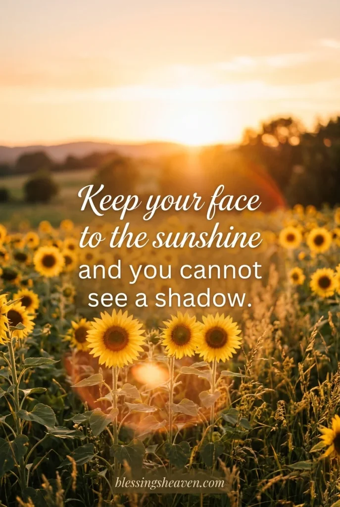 ☀️ Short Sunshine Quotes to Brighten Your Day