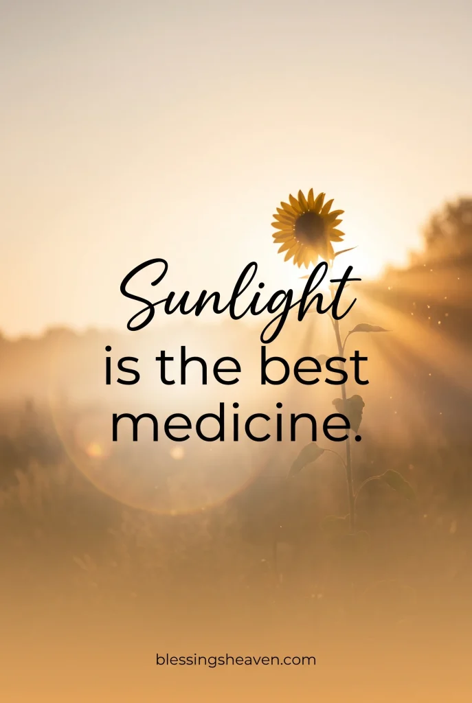 29 Short Sunlight Quotes Captions for Glow Positivity Life