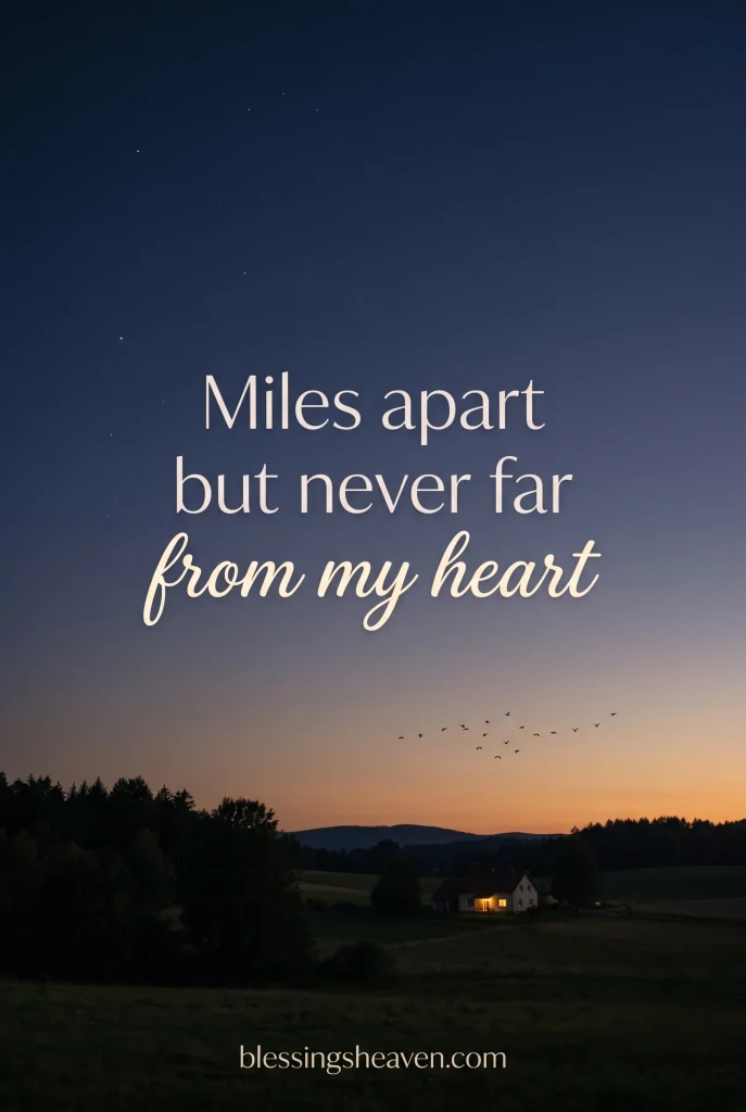 9. Short Missing Brother Quotes For Distance and Loss