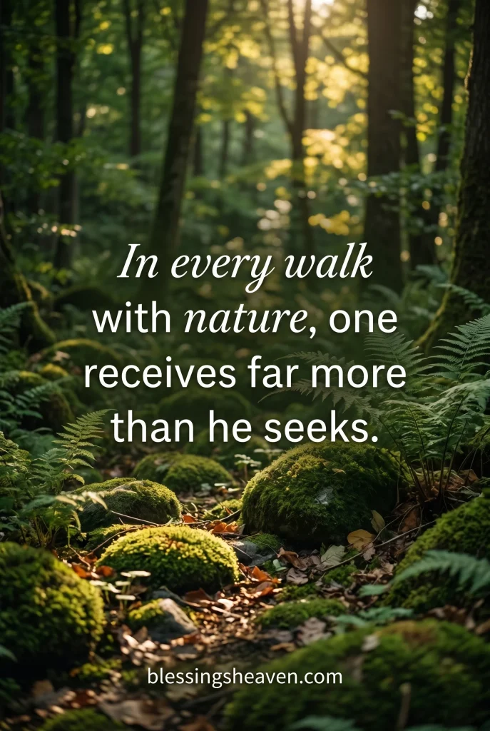 Nature Garden Quotes That Ground You