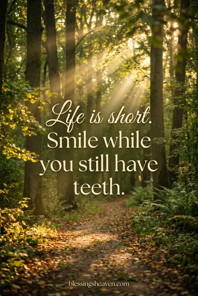 Sunlight Quotes About Life