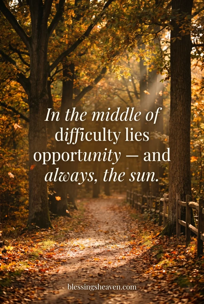Warm Sunshine Quotes About Life