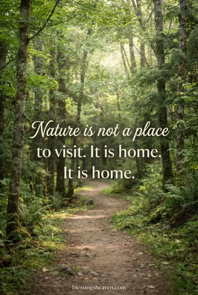 11. Green Quotes About Life Lessons from Nature