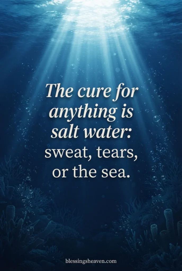 6. Mermaid Quotes About the Seas Mystery