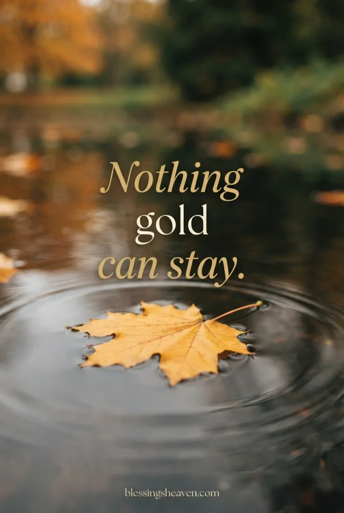 9. Quotes About the Beauty of Impermanence 1