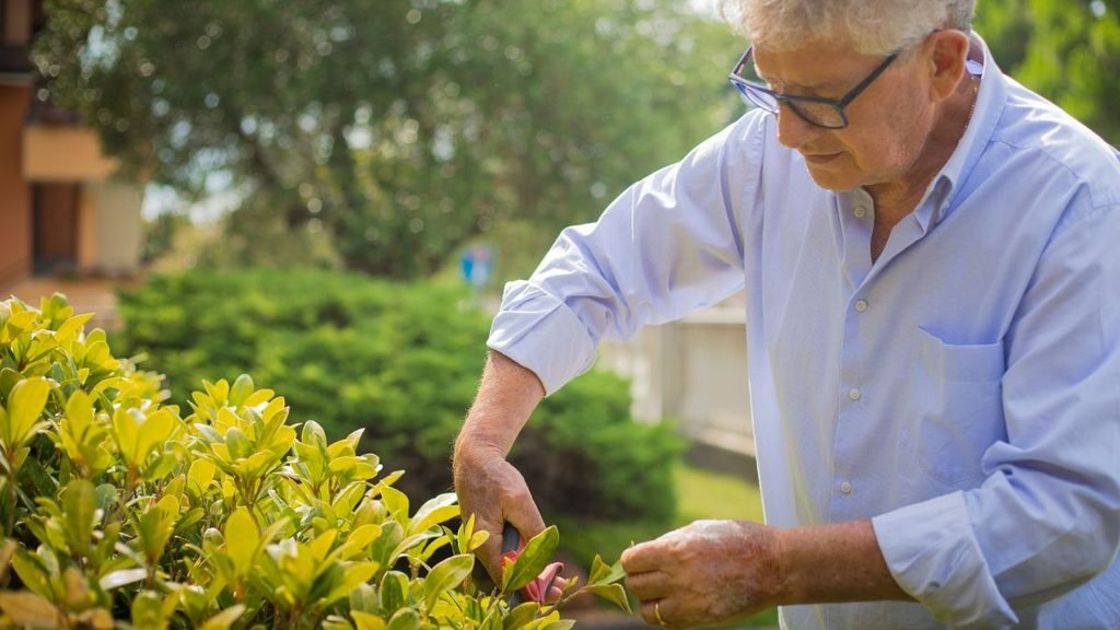 gardening