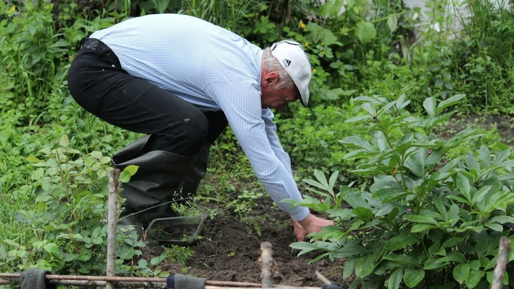 gardening